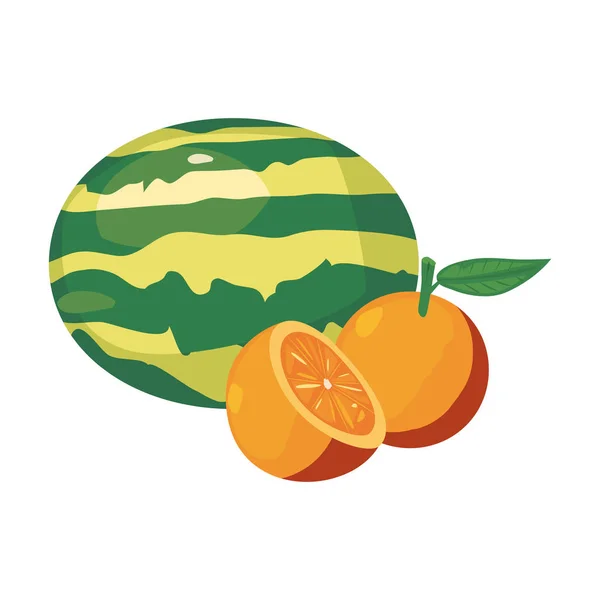 오렌지 수박 신선한 음식 아이콘 벡터 ilustrate — 스톡 벡터