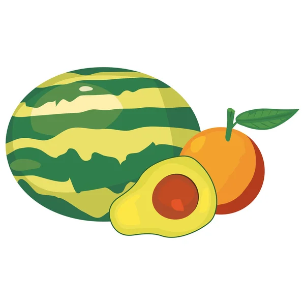 Abacate laranja melancia alimentos frescos — Vetor de Stock