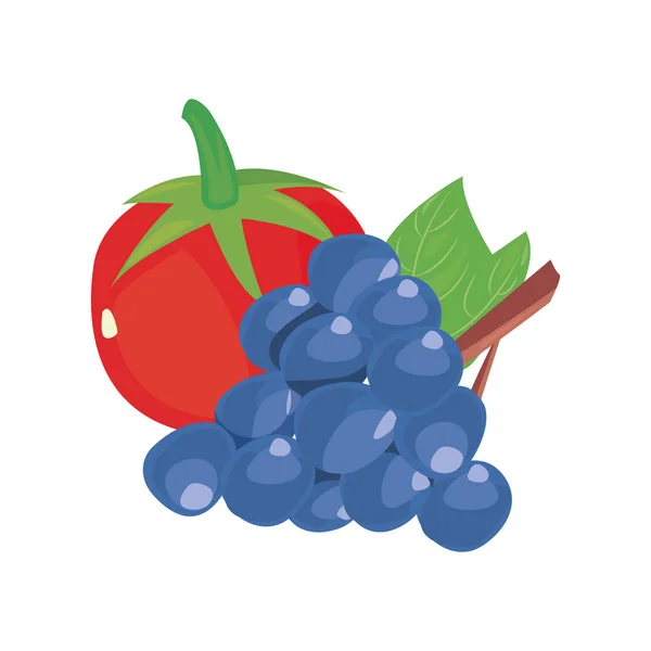 Tomato grapes fresh food icon vector ilustrate — Stock Vector