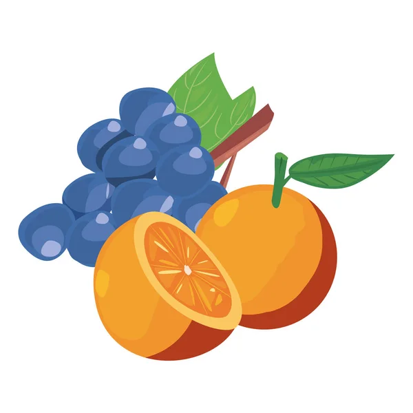 Orangen Trauben frisches Essen Symbol Vektor Ilustrat — Stockvektor