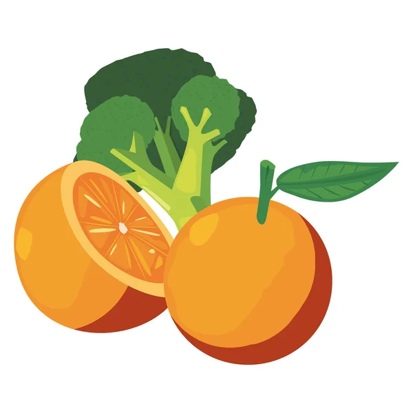 Naranja brócoli alimento fresco icono vector ilustrar — Archivo Imágenes Vectoriales