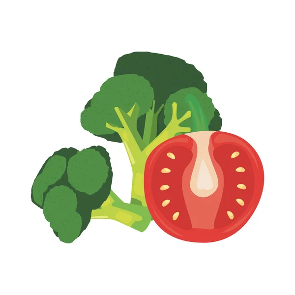 Broccoli tomato fresh food icon vector ilustrate — Stock Vector