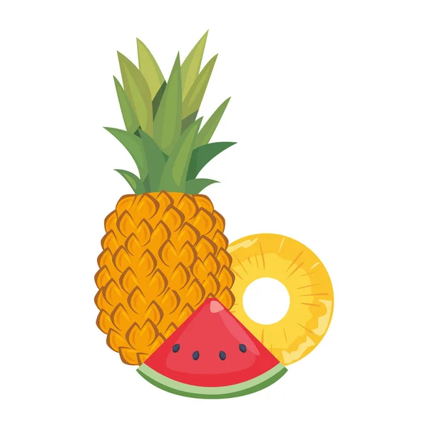 Ananas watermeloen vers voedsel pictogram vector ilustrate — Stockvector