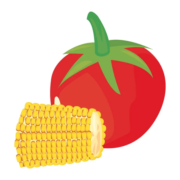 Maíz tomate fresco alimento icono vector ilustrar — Vector de stock