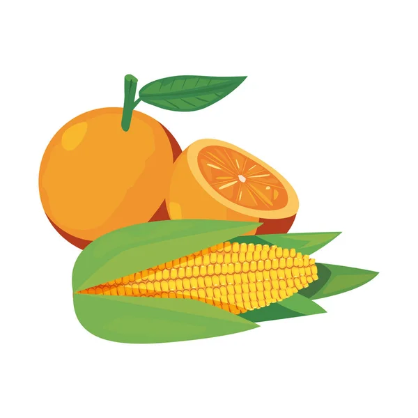 玉米橙新鲜食品图标矢量 — 图库矢量图片