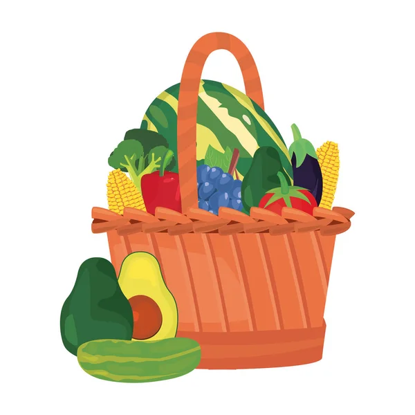 Avokádó görögdinnye brokkoli friss élelmiszerek — Stock Vector