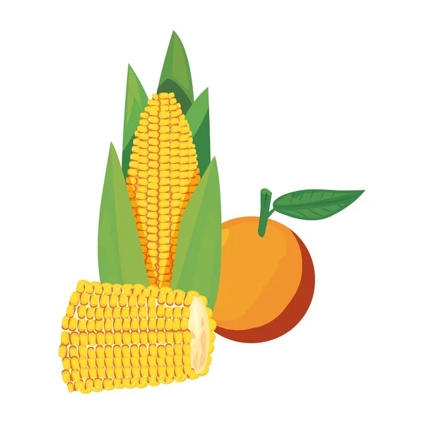 Ikona jedzenie kukurydziany pomarańczowy wektor świeży — Wektor stockowy