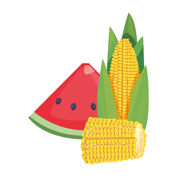 Maïs pastèque nourriture fraîche icône vecteur ilustré — Image vectorielle