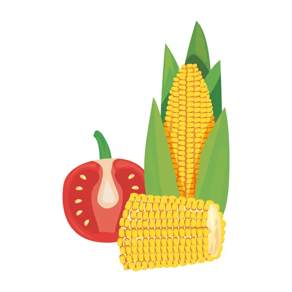 Majs tomat färsk mat ikon vektor ilustrate — Stock vektor