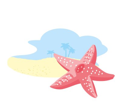 plajda sevimli yıldız balığı hayvan