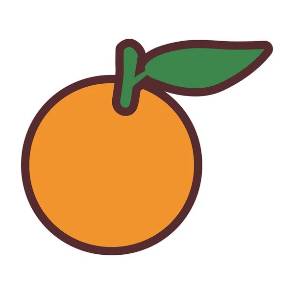 Νόστιμη τροφή φρέσκων φρούτων με πορτοκαλί χρώμα — Διανυσματικό Αρχείο
