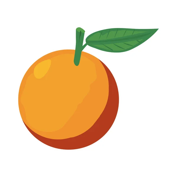 Naranja deliciosa fruta fresca nutrición — Vector de stock