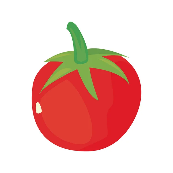 Tomaten frisches Gemüse Symbol Vektor Illustrat — Stockvektor