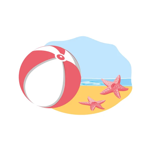 可爱的海星动物在海滩与球塑料 — 图库矢量图片
