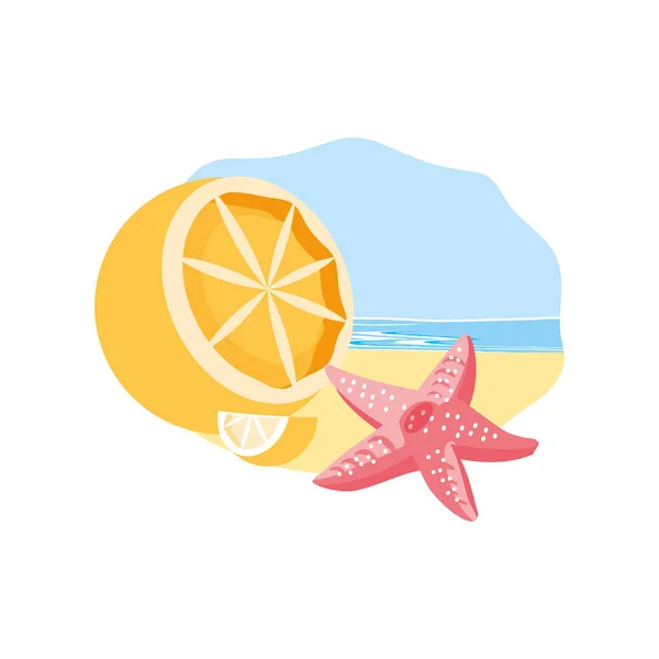 Lindo animal estrella de mar en la playa con naranja — Vector de stock