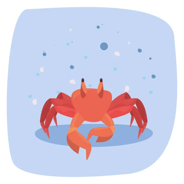 Krabbe marine Tierwelt Vektor-Abbildung — Stockvektor