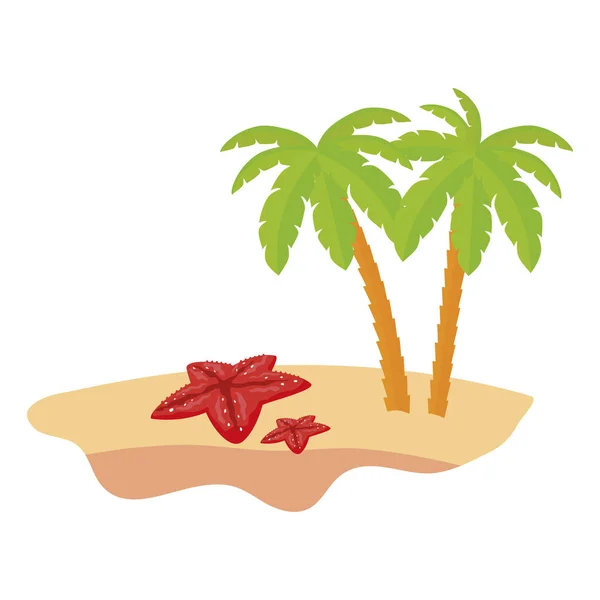 Scène de plage d'été avec palmiers et étoiles de mer — Image vectorielle