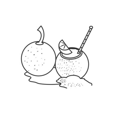 Hindistan cevizi ile yaz taze kokteyller