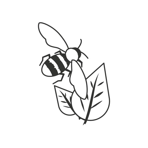 Bee insect met bladeren Naturals — Stockvector