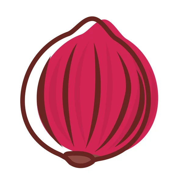 Красный лук свежие овощи иконка вектор илюстрации — стоковый вектор