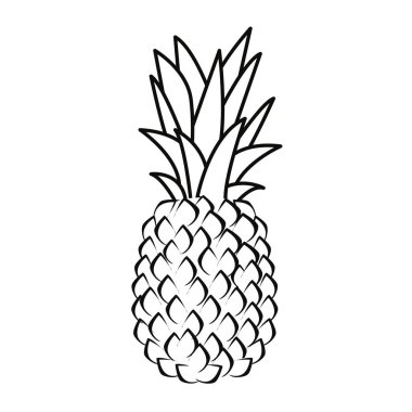 ananas besin meyve simge taze vektör