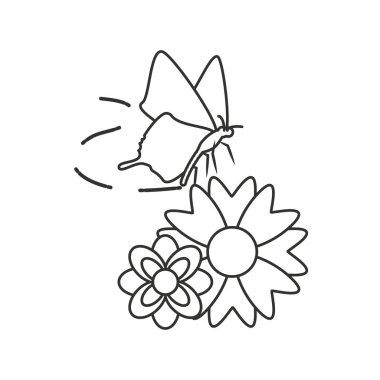 çiçekler izole güzel kelebek simge