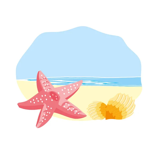 可爱的海星动物在海滩 — 图库矢量图片