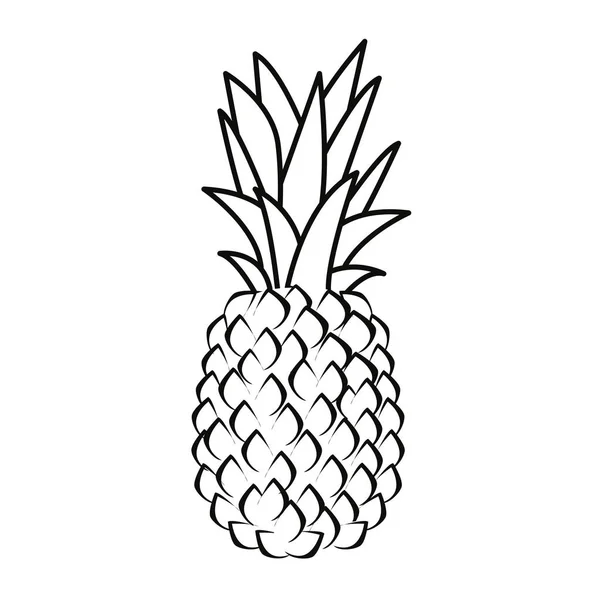 Piña nutrición fruta fresca icono vector ilustrar — Vector de stock