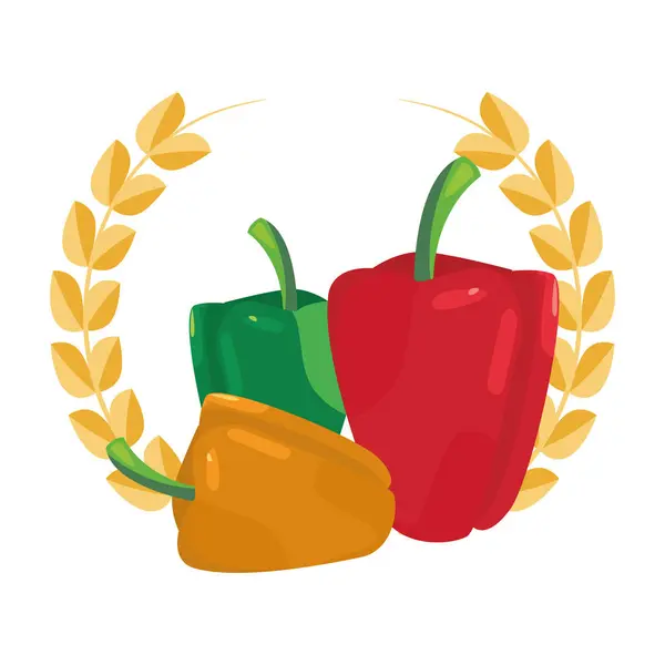 Pimentas frescas vegetais ícone vetor ilustrar — Vetor de Stock