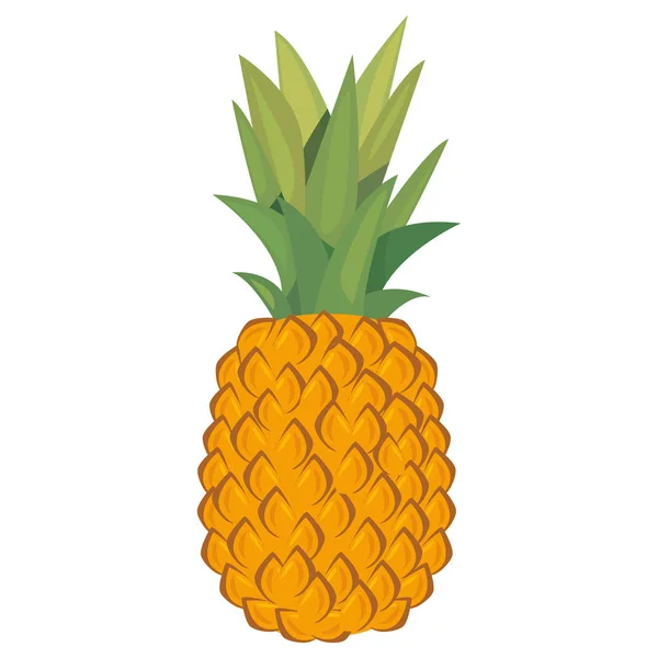 Piña nutrición fruta fresca icono vector ilustrar — Vector de stock
