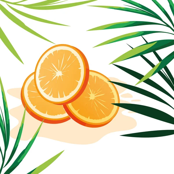 Fatia de desenho laranja vector illustratio — Vetor de Stock