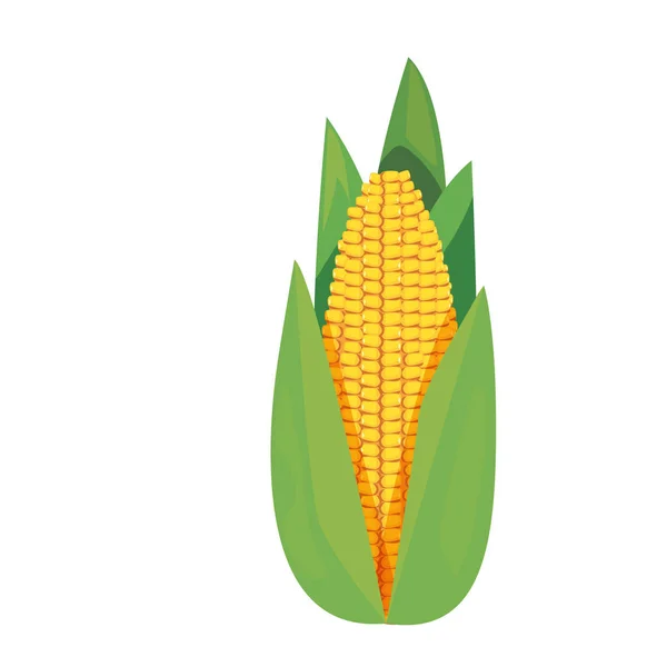 Mais frisches Gemüse Symbol Vektor Ilustrat — Stockvektor