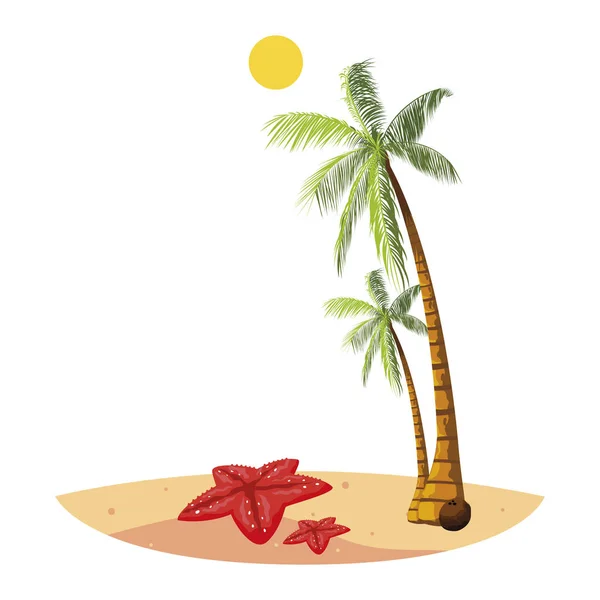 Plage d'été avec palmiers et scène d'étoile de mer — Image vectorielle