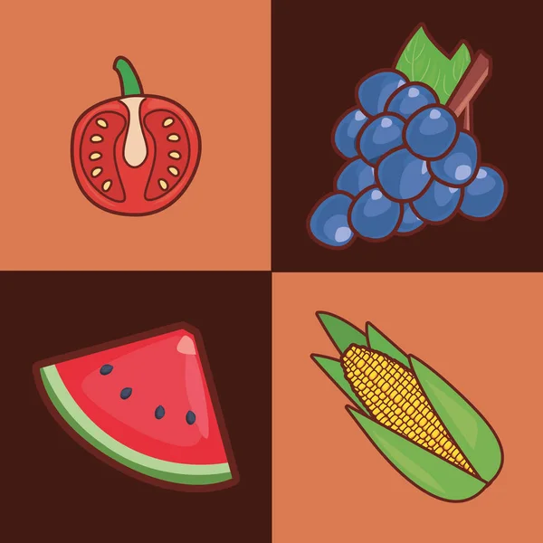 Conjunto de uvas de sandía de maíz de tomate — Vector de stock