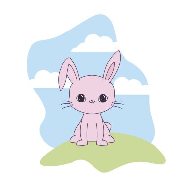 manzara doğal sevimli tavşan hayvan