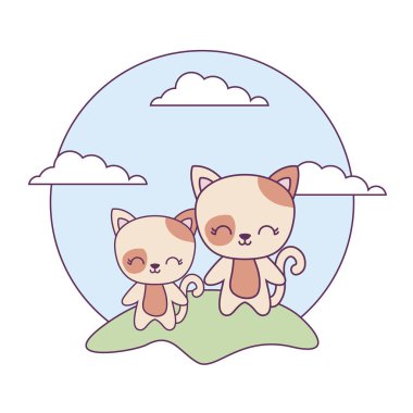 manzara sevimli kedi hayvanlar