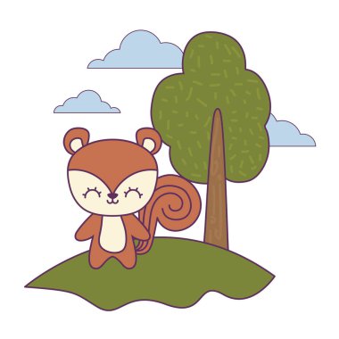 manzara doğal sevimli sincap hayvan