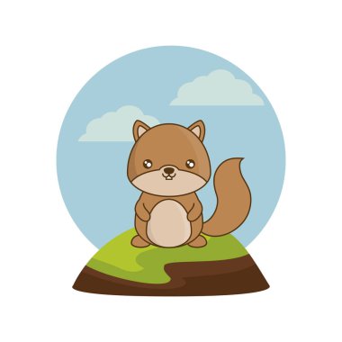 manzara doğal sevimli sincap hayvan