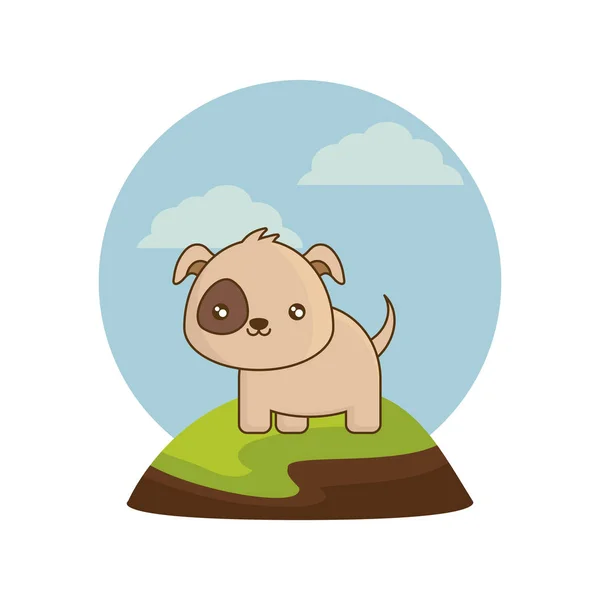 Lindo perro animal en paisaje natural — Vector de stock