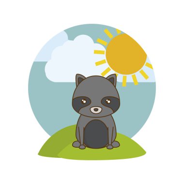 manzara doğal sevimli rakun hayvan