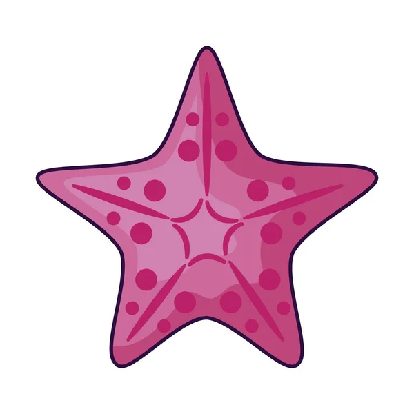 Cute starfish animal isolated icon — Stock Vector