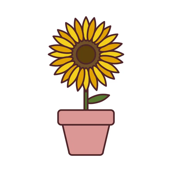 Sonnenblume in Topfpflanze isoliert Symbol — Stockvektor
