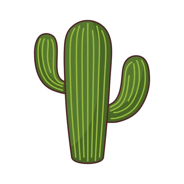 Planta de cactus icono aislado natural — Vector de stock