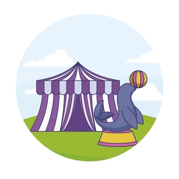 密封动物与球和帐篷马戏团 — 图库矢量图片