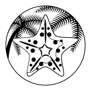 çerçeve içinde tropikal palmiye ile denizyıldızı hayvan