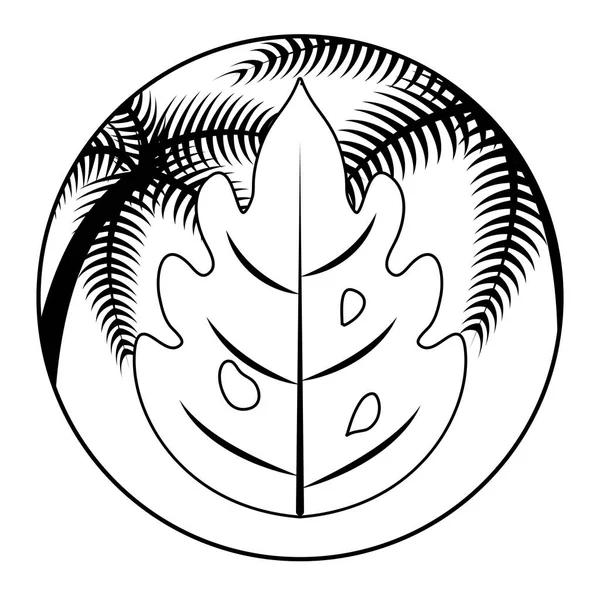 Летний лист с тропической пальмой в рамке — стоковый вектор