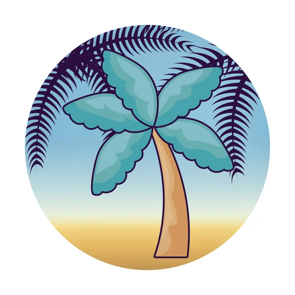 Palmera de playa tropical con palmera tropical en el marco — Vector de stock