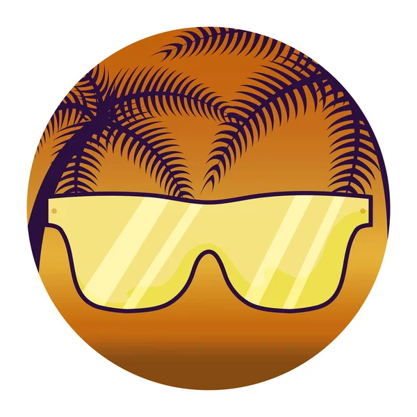 Óculos de sol de verão com palma tropical no quadro — Vetor de Stock