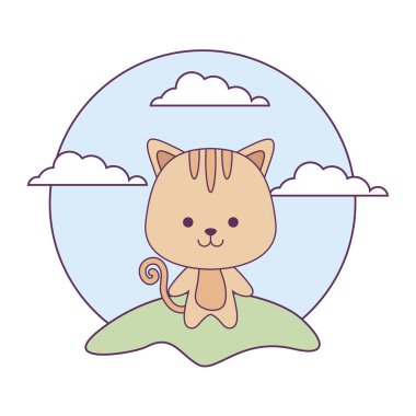 şirin kedi hayvan peyzaj