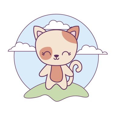 şirin kedi hayvan peyzaj